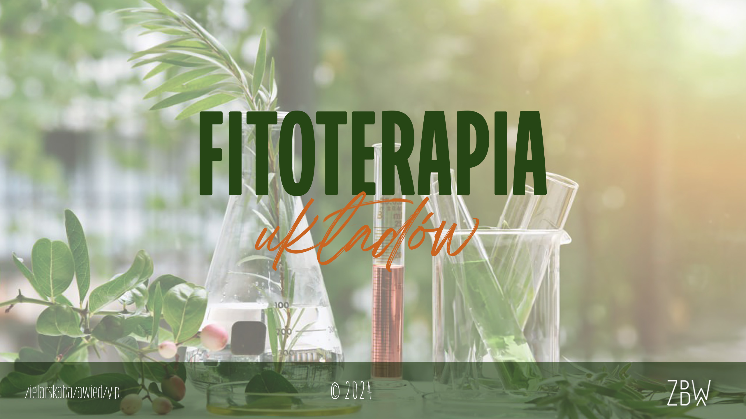 Fitoterapia układów